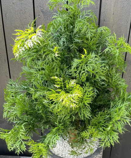 LeopoldFlora Buiten kunstplant Ming Aralia groen uv-bestendig