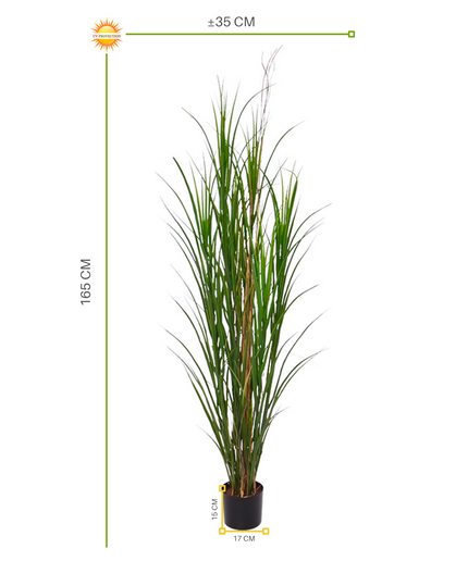 LeopoldFlora Buiten kunstplant  Rietgras  165 cm UV