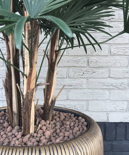 LeopoldFlora Buitenpalm Rhapis kunststof 110cm UV