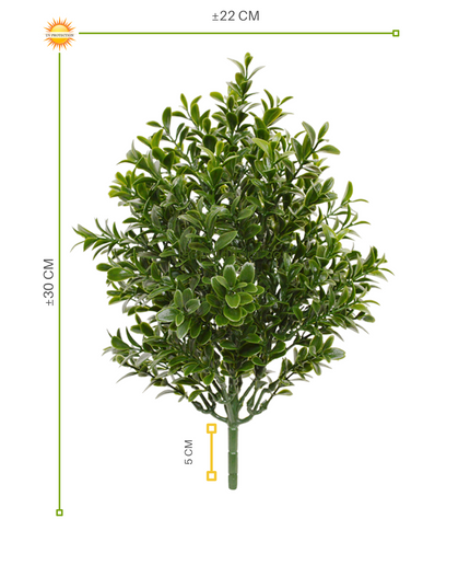 LeopoldFlora Buxus Kunststruikje 30 UV