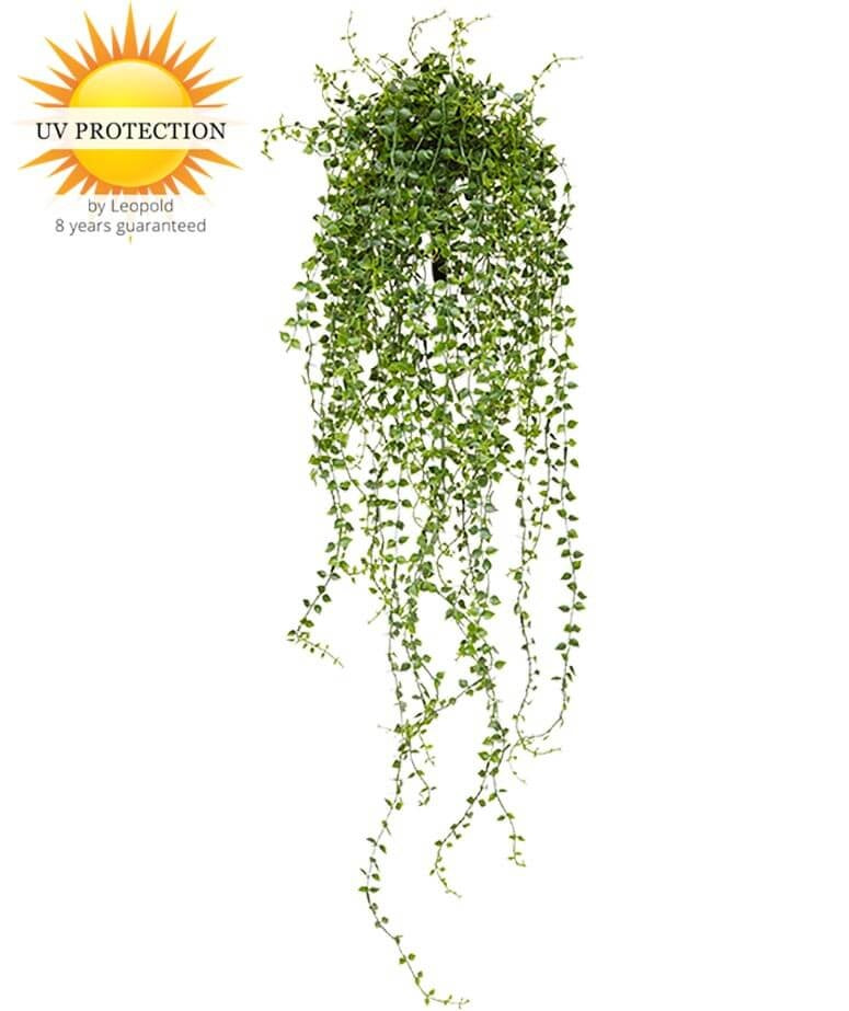 fake hanging plant Callisia Artificial Hanging plant for outdoors