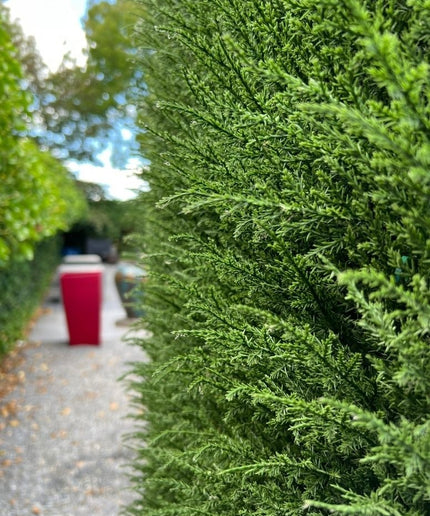 LeopoldFlora Conifeer mat 25x25 cm UV