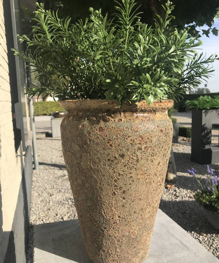 LeopoldFlora Crossostephium Tak 45 cm UV