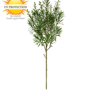 LeopoldFlora Crossostephium Tak 45 cm UV