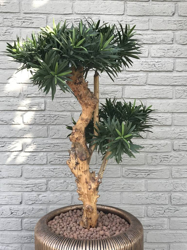 LeopoldFlora Design Kunstplant Podocarpus 70cm UV