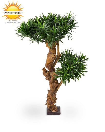 LeopoldFlora Design Kunstplant Podocarpus 70cm UV