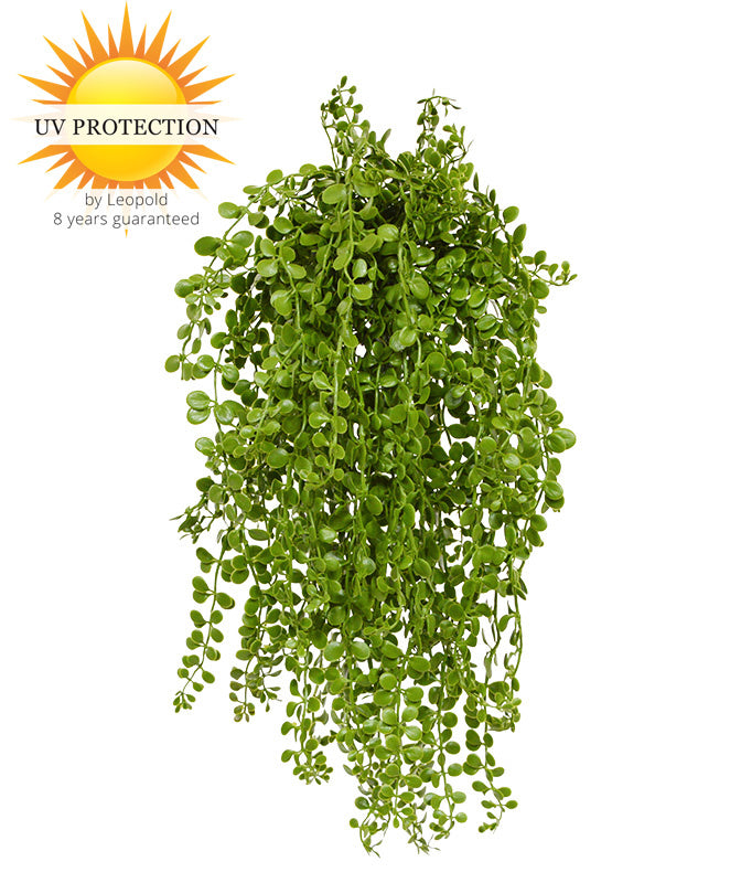 fake hanging plants small Dischidia artificial hanging plant