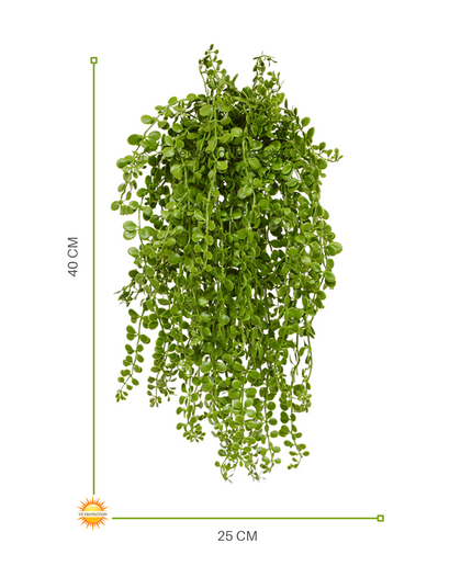 LeopoldFlora Dischidia nummularia kunsthangplantje 40cm UV