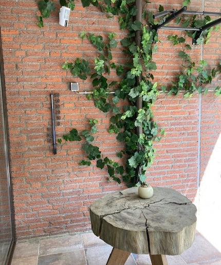 LeopoldFlora Druif kunst Guirlande 110cm UV