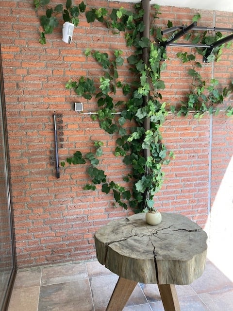 LeopoldFlora Druif kunst Guirlande 110cm UV