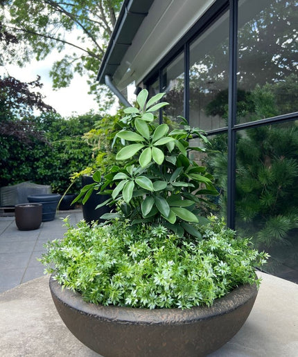 LeopoldFlora Eucalyptus kunststruikje groen-wit  30cm UV