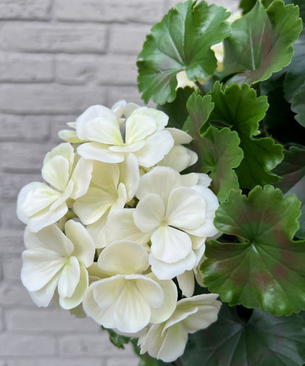 LeopoldFlora Geranium bol kunstplant 50cm UV creme-wit