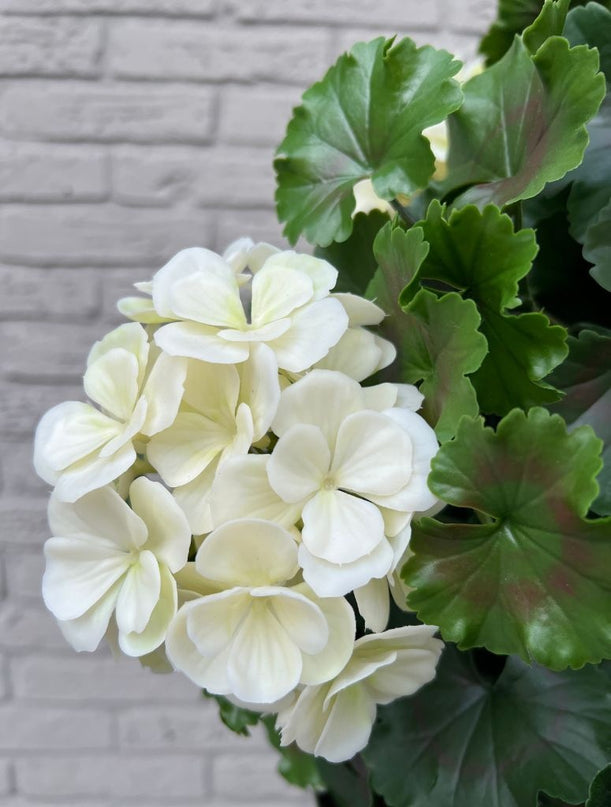 LeopoldFlora Geranium bol kunstplant 50cm UV creme-wit