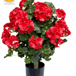 LeopoldFlora Geranium bol kunstplant 50cm UV rood