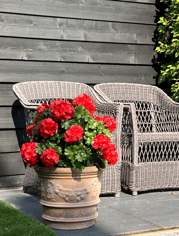 LeopoldFlora Geranium bol kunstplant 50cm UV rood