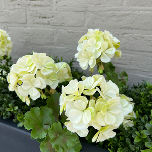 LeopoldFlora Geranium kunstboeket 38cm wit UV