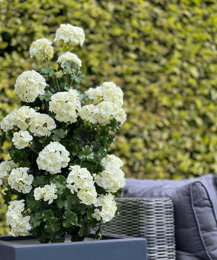 LeopoldFlora Geranium pyramide 110cm kunstplant UV creme-wit