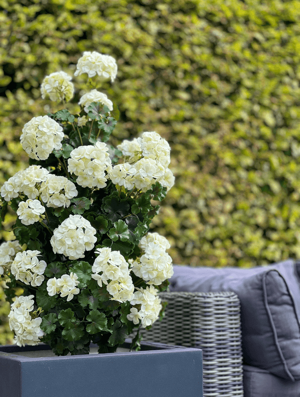 LeopoldFlora Geranium pyramide 110cm kunstplant UV creme-wit