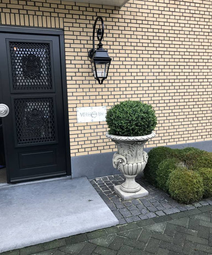 LeopoldFlora Grote kunst  buxus Bol 80 cm UV