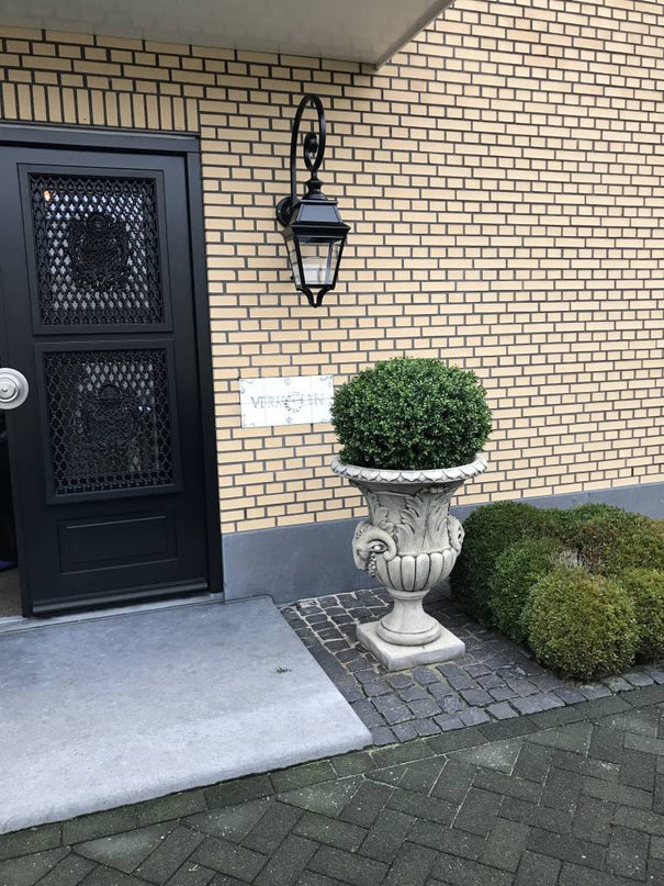 LeopoldFlora Grote kunst  buxus Bol 80 cm UV
