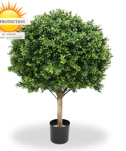 LeopoldFlora Grote kunst  buxus Bol 80 cm UV