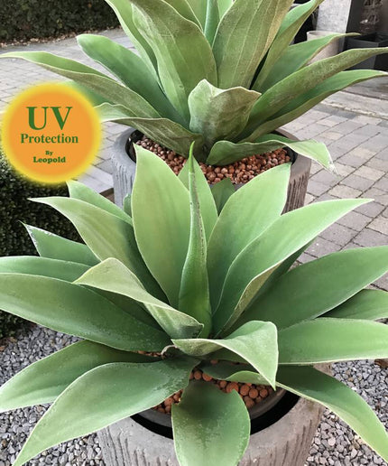 LeopoldFlora Grote Kunststof Agave 70 UV