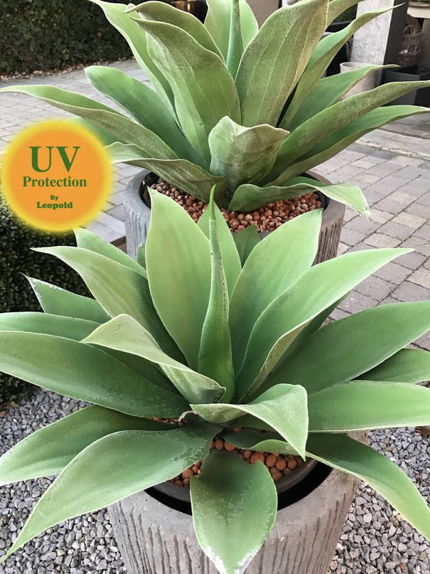 LeopoldFlora Grote Kunststof Agave 70 UV