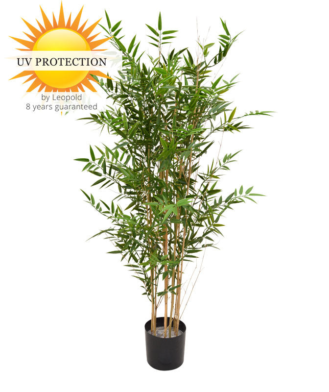 LeopoldFlora Hoge kunst Bamboe 120 cm  UV