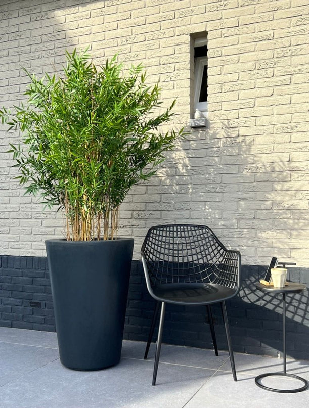 LeopoldFlora Hoge kunst Bamboe 120 cm  UV