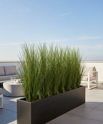 LeopoldFlora Hoge kunst siergrasplant 120 cm UV