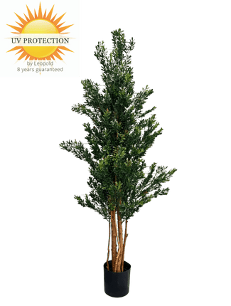LeopoldFlora Hoge Kunstplant Buxus 165cm UV groen/rood