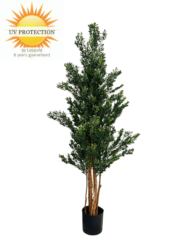 LeopoldFlora Hoge Kunstplant Buxus 165cm UV groen/rood