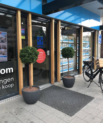 LeopoldFlora Imitatie Buxus Bol op stam 140 cm UV