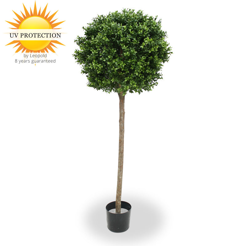 LeopoldFlora Imitatie Buxus Bol op stam 140 cm UV
