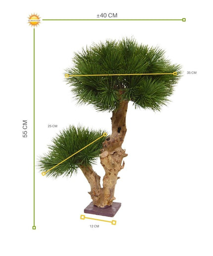 LeopoldFlora Klein kunstboompje  Pinus Bonsai 55  UV