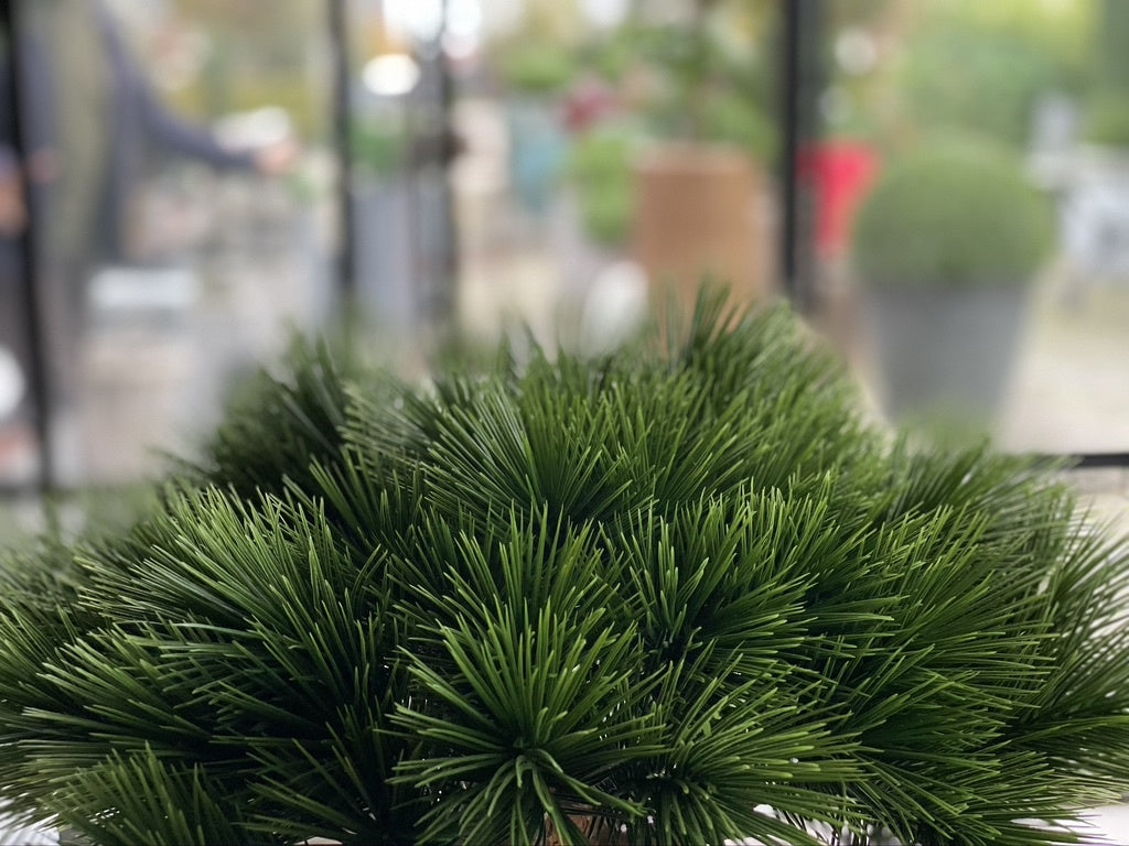 LeopoldFlora Klein kunstboompje  Pinus Bonsai 55  UV