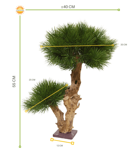 LeopoldFlora Klein kunstboompje  Pinus Bonsai 55  UV