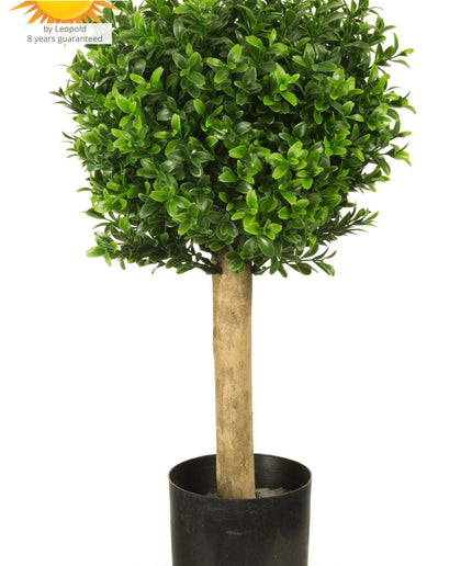 LeopoldFlora Kleine kunst buxus bol 25 cm UV