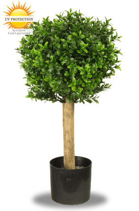 LeopoldFlora Kleine kunst buxus bol 25 cm UV