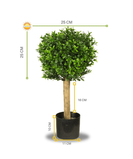 LeopoldFlora Kleine kunst buxus bol 25 cm UV