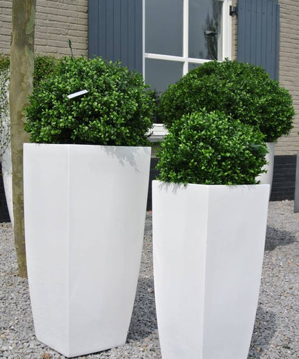 LeopoldFlora Kunst Buxus Bol 50 cm UV