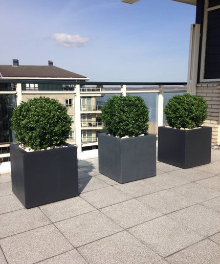 LeopoldFlora Kunst Buxus Bol 50 cm UV