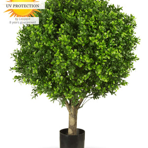 LeopoldFlora Kunst Buxus Bol 50 cm UV