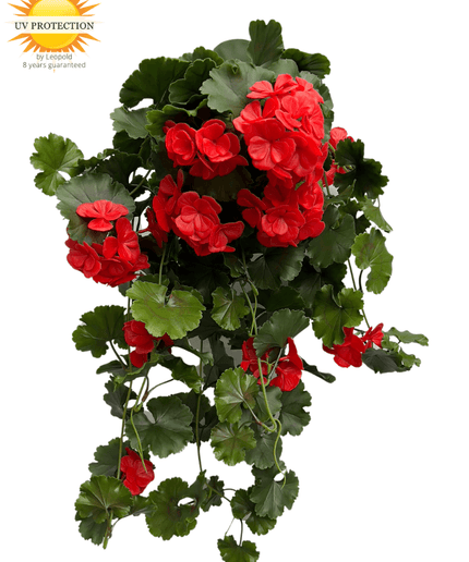 LeopoldFlora Kunst Hanggeranium 65cm UV rood