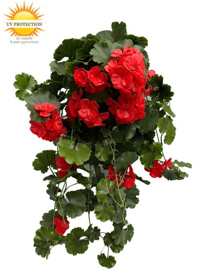 LeopoldFlora Kunst Hanggeranium 65cm UV rood