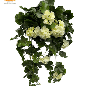 LeopoldFlora Kunst hanggeranium 65cm UV wit