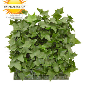 LeopoldFlora Kunst Hedera Klimop mat 25x25 cm UV