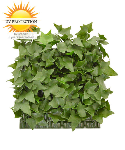 LeopoldFlora Kunst Hedera Klimop mat 25x25 cm UV