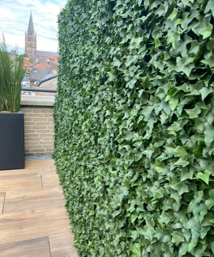 LeopoldFlora Kunst Hedera Klimop mat 25x25 cm UV