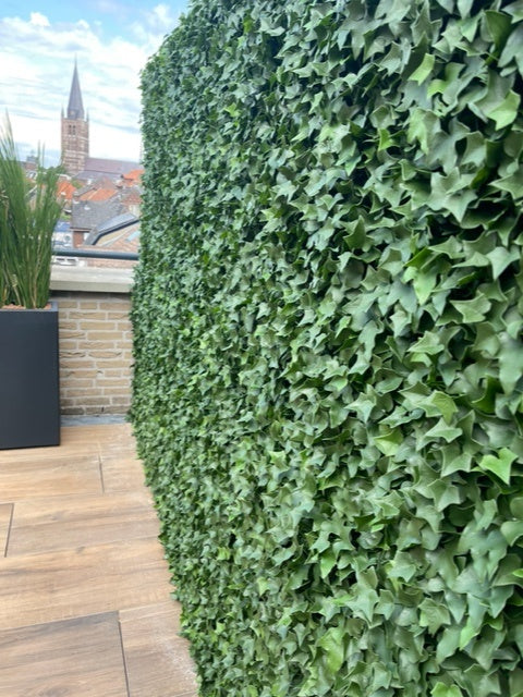 LeopoldFlora Kunst Hedera Klimop mat 25x25 cm UV